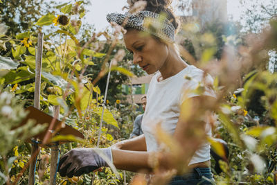 Female farmer picking vegetables at urban farm