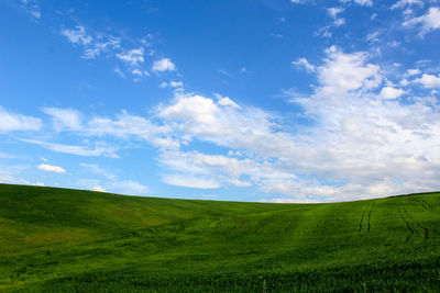 Scenic view of field against sky