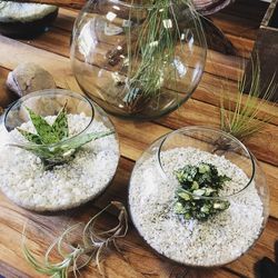 Close-up of food in bowl