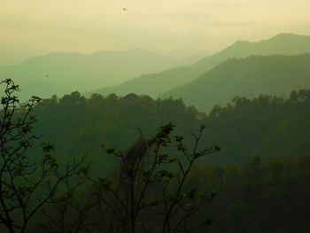 Scenic view of tree mountains against sky