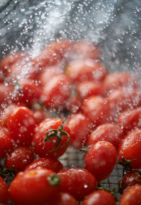 Close-up of wet red berries