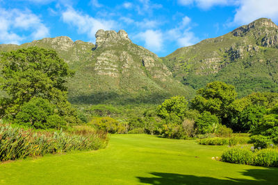 Scenic view of beautiful green landscape