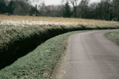 Road amidst field