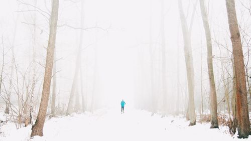 Person walking on snow covered landscape