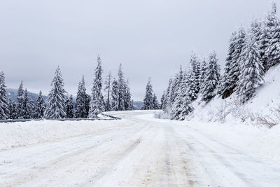 Road amidst snow covered trees against sky