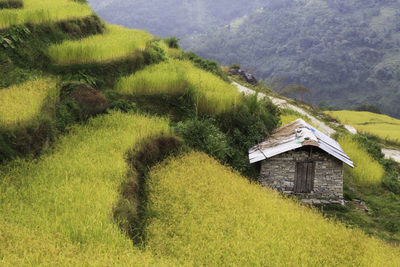 House on field by mountain