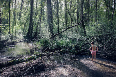 Rear view of boy standing in lake at forest