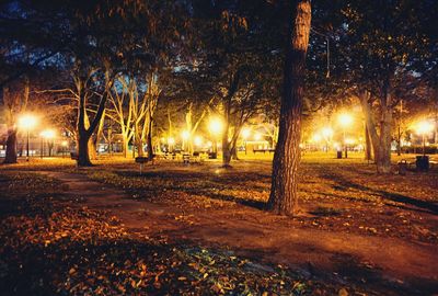 Illuminated street light at night