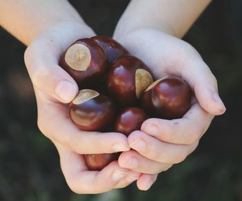 Close-up of cropped hand holding plant