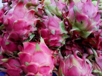 Full frame shot of pink flowers