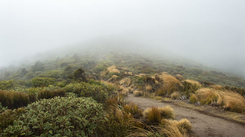 Scenic view of landscape against sky during foggy weather