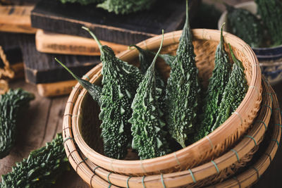 Close-up of potted plants in basket