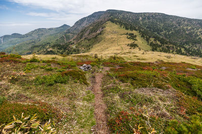 Scenic view of landscape against sky