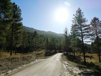 Road amidst trees against sky