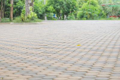 Surface level of footpath by street in park