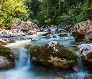 Stream flowing through rocks in forest