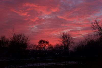 Silhouette trees against sky during sunset