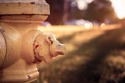 Close-up of fire hydrant