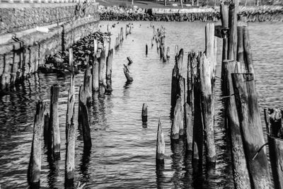 High angle view of wooden posts in sea