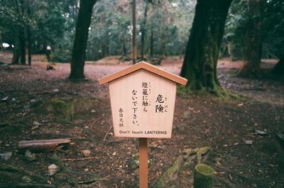 Information sign on tree trunk in forest