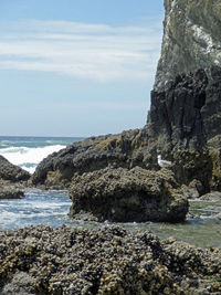 Rocks on beach against sky