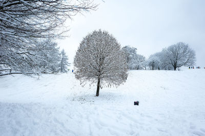 Bare tree against sky during winter