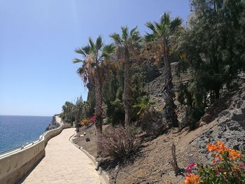 Scenic view of sea against clear blue sky