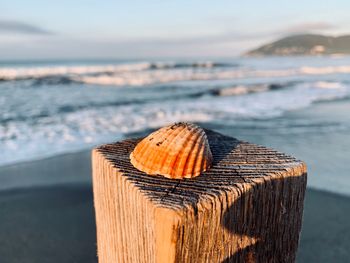 Close-up of wooden post on beach against sky