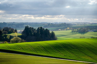 Scenic view of agricultural field against sky