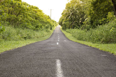 Empty road with power lines, crossing a green exhuberant landscape