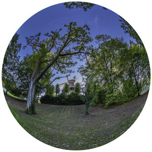 Digital composite image of trees against sky