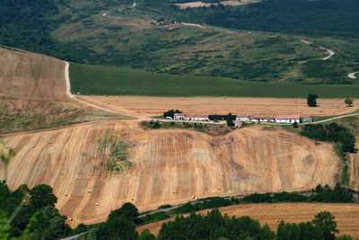 Scenic view of agricultural field