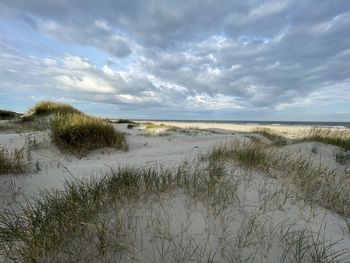 Scenic view of beach against sky