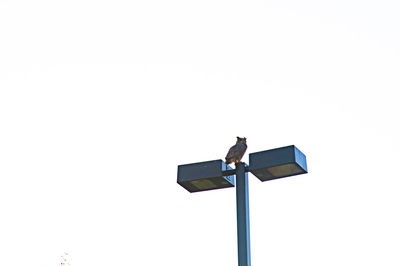 Low angle view of street light against clear sky