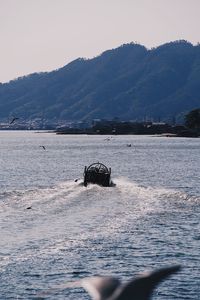 View of turtle swimming in sea