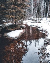 High angle view of frozen lake and trees in forest