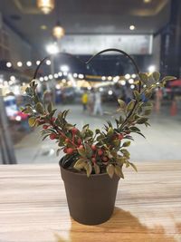 Close-up of potted plant on table