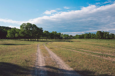 Scenic view of field against sky