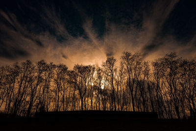 Silhouette trees against sky at night