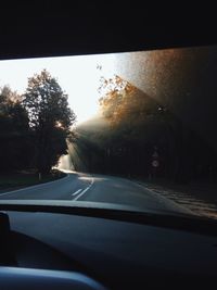 Road passing through forest