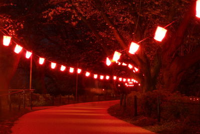 Illuminated street lights at night