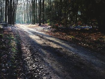 Road amidst trees in forest during autumn