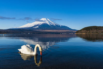 Scenic view of lake by snowcapped mountains against blue sky