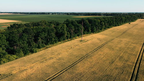 Scenic view of agricultural field