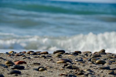 Surface level of stones on beach