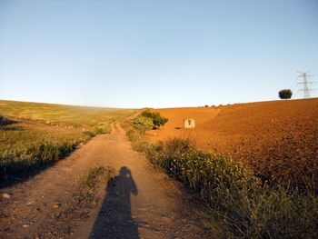 Shadow of man walking on road