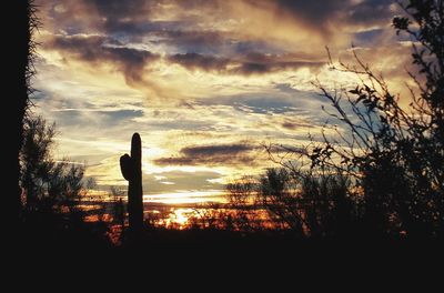 Silhouette trees on landscape against sky at sunset