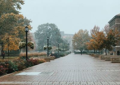 Street amidst trees against sky during autumn