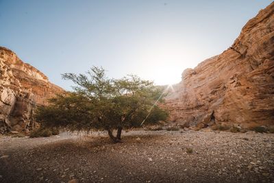 Scenic view of mountain against sky