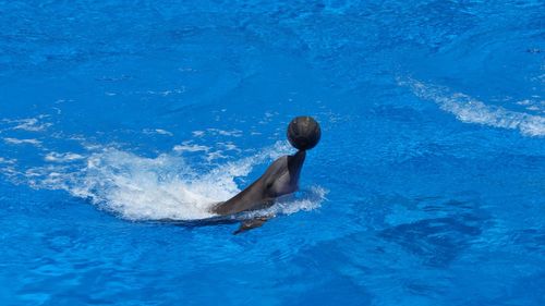 View of swimming underwater